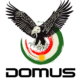 Website design for Domus in Erbil