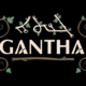 Web Design for Gantha Cafe Erbil